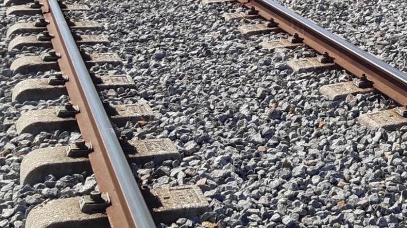 Mitma somete a información pública el estudio informativo del tramo ferroviario Castejón-Logroño
