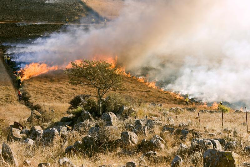 Madrid, entre las comunidades autónomas que recibirán ayudas del Gobierno para paliar los daños y recuperar las zonas afectadas por los incendios forestales de este verano