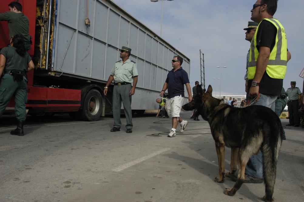 Agente con perro antidroga del Servicio Cinológico de la Guardia Civil durante una inspección en el puerto