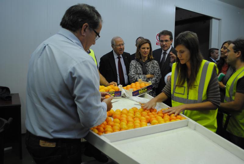 El Gobierno respalda la exportación de cítricos valencianos a EE.UU

