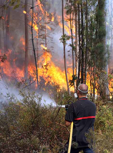 El Estado aportará este año a Galicia 4,3 millones de euros para para la prevención y lucha contra los incendios forestales 