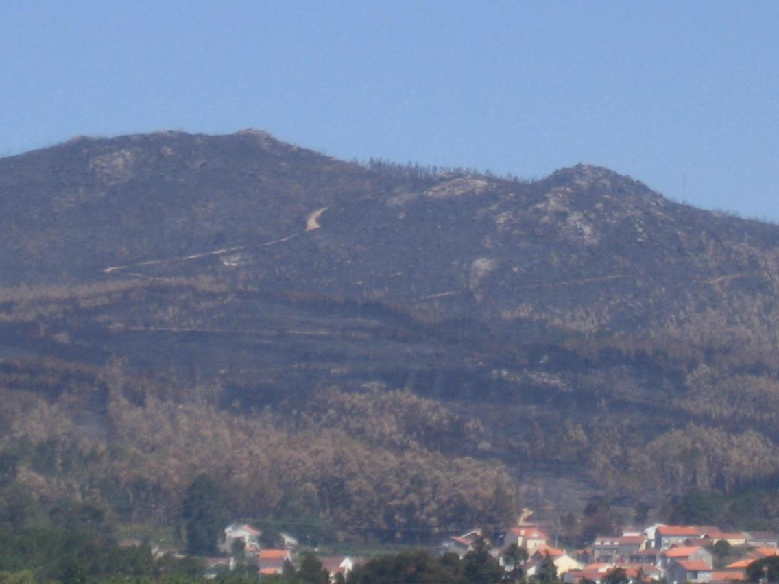 El Gobierno de España ha invertido, a través del MARM, más de 4 millones de euros en el entorno de Monte Xiabre en regeneración de montes tras los incendios de 2006