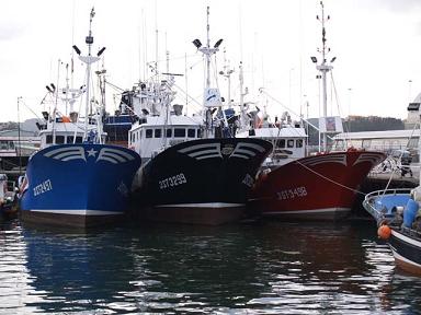 El Gobierno destina 9,95 millones de euros al sector pesquero gallego