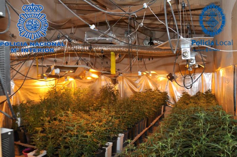 La nave que alberga las casi 1.500 plantas de marihuana incautadas