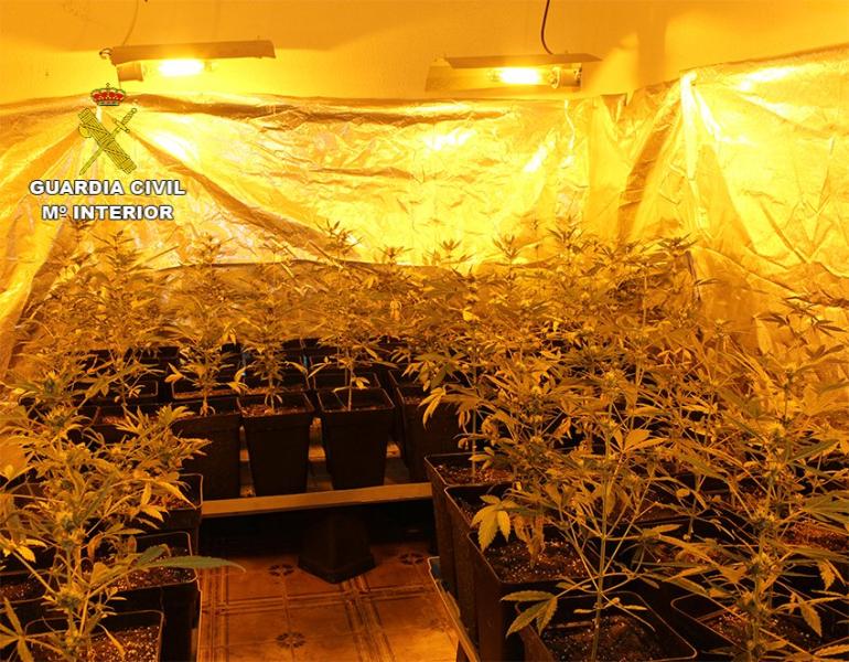 Una de las habitaciones donde se cultivaba la droga