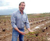 El Gobierno de España transfiere a La Rioja más de un millón  de euros, para diversos programas agrícolas y ganaderos.