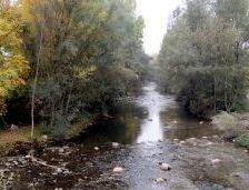 La Confederación Hidrográfica del Ebro concluye las actuaciones de recuperación de riberas en Casalarreina, Fuenmayor y Baños de Río Tobía.