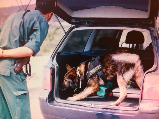Momento en el que el perro de la Guardia Civil detecta el estupefaciente en el vehículo