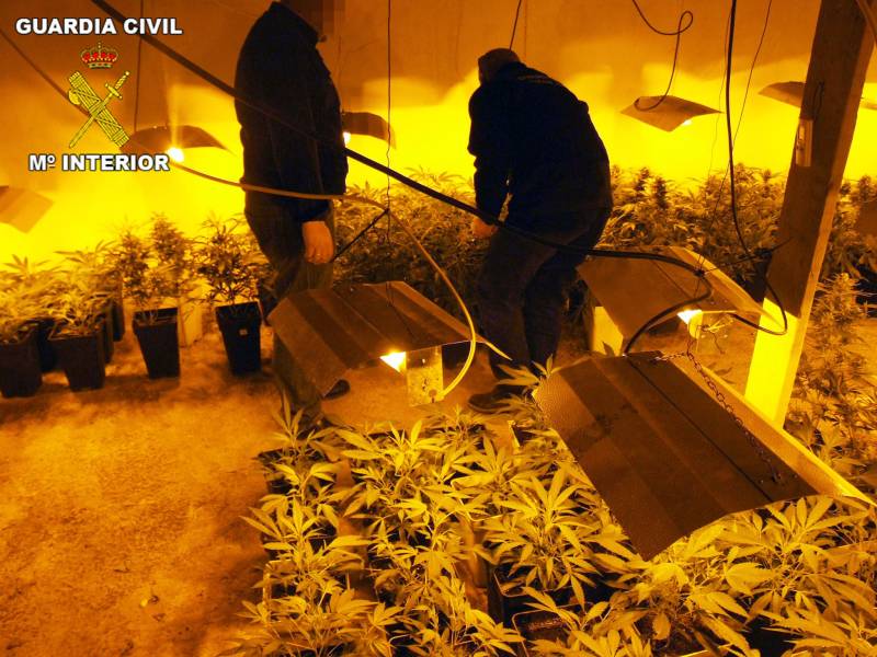 La Guardia Civil desmantela tres puntos de producción y distribución de marihuana en las comarcas de la Vega Media y Alta