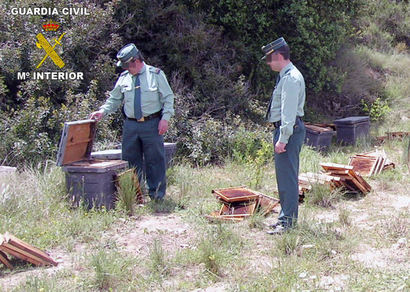La Guardia Civil detiene a una persona por la sustracción de colmenas en la comarca del Noroeste