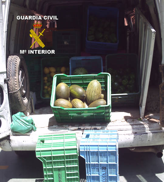 La Guardia Civil detiene a dos personas con gran cantidad de fruta sustraída