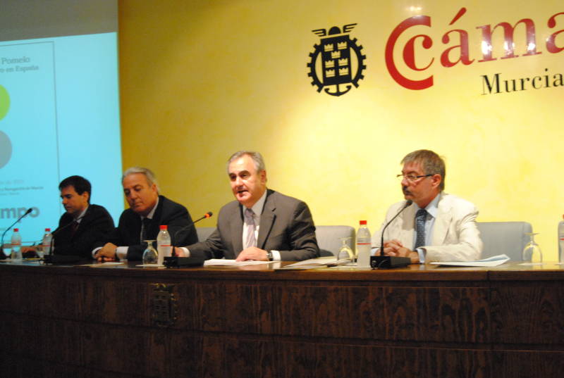 El delegado del Gobierno inaugura las Jornadas sobre el sector del Limón y el Pomelo en España 