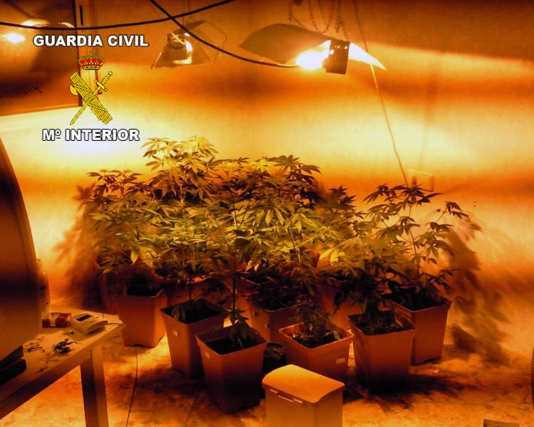 La Guardia Civil desmantela dos puntos de cultivo y distribución de marihuana en el Campo de Cartagena