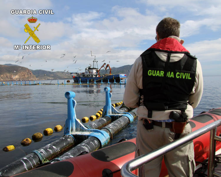 La Guardia Civil detiene a tres personas por la captura ilegal de especies de atún rojo