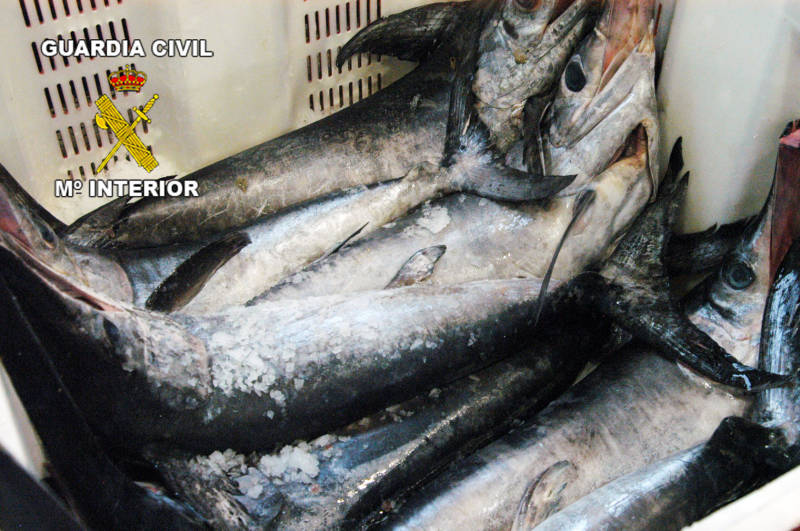 La Guardia Civil y la Inspección Pesquera inmovilizan más de 100 kilos de pez espada en la lonja