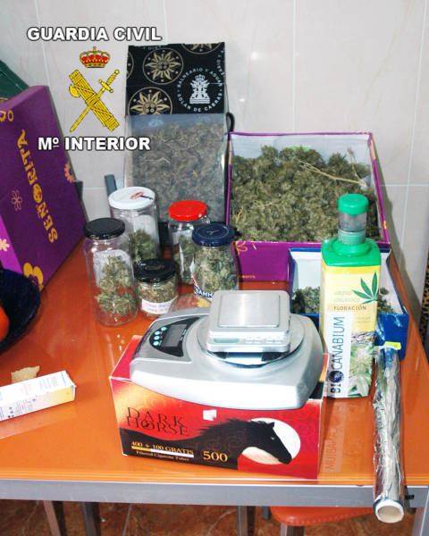 La Guardia Civil desmantela un punto de distribución de marihuana en Calasparra