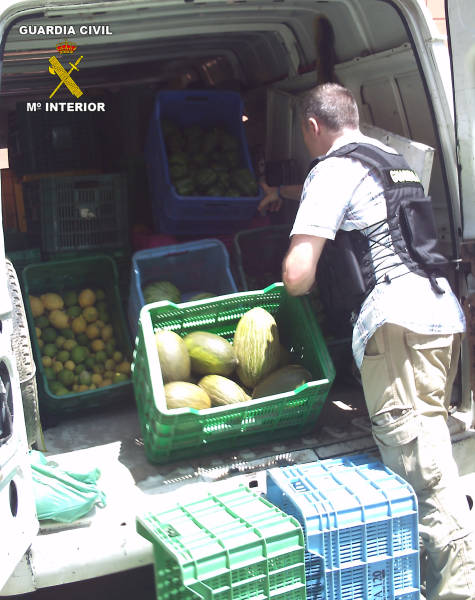 La Guardia Civil sorprende in fraganti a una persona trasladando productos hortofrutícolas sustraídos