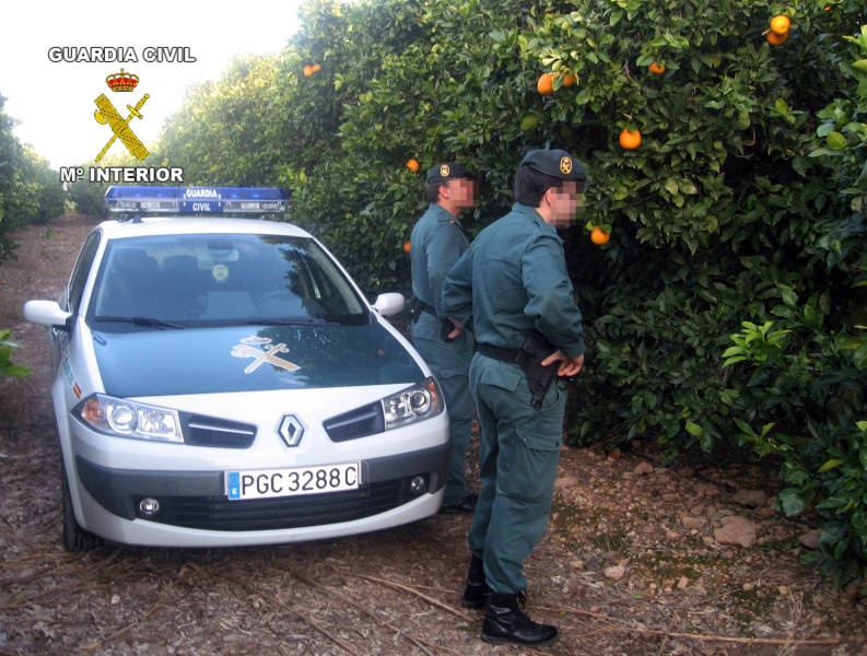La Guardia Civil detiene a tres personas por la sustracción de 3 toneladas de naranjas