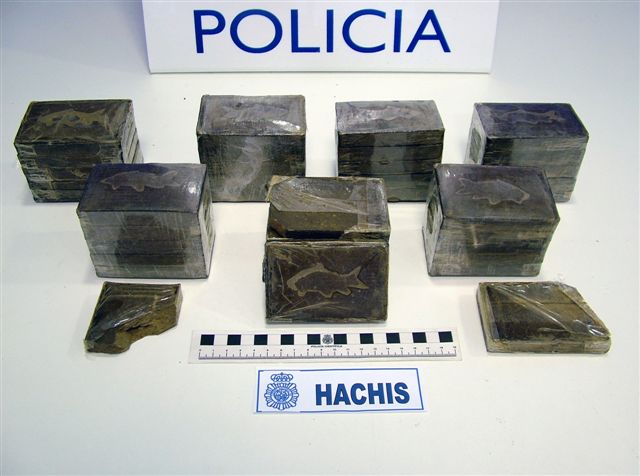 El Cuerpo Nacional de Policía detiene en Zarautz a una persona dedicada a la distribución de droga
