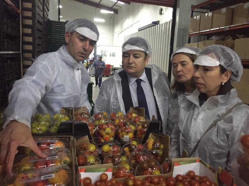 Sanz visita en Motril la empresa hortofrutícola Miguel García Sánchez e Hijos