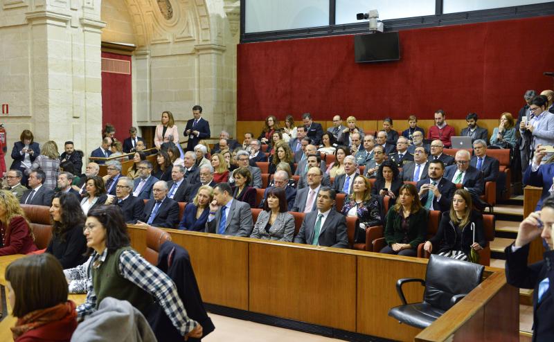 Sanz subraya en el 28-F el compromiso del Gobierno de la nación con Andalucía