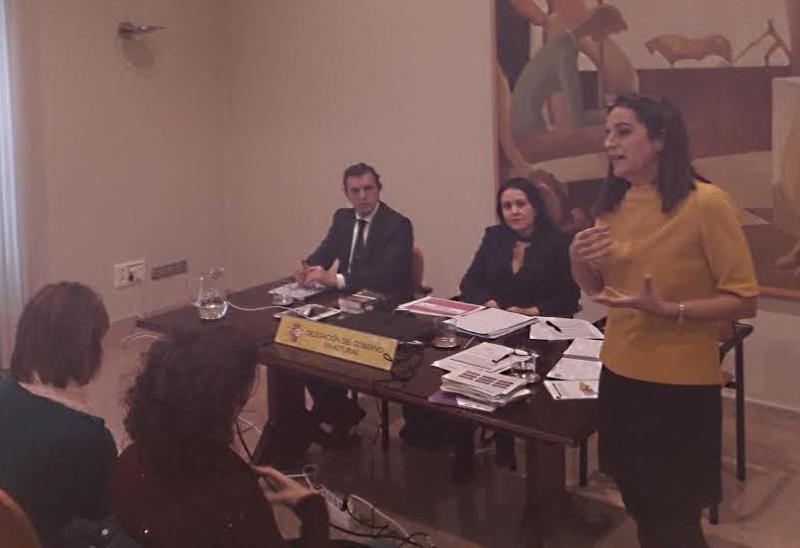 La Dirección General del Instituto Asturiano de la Mujer y Política de Juventud ha organizado junto a la Delegación del Gobierno una jornada de trabajo entre profesionales del protocolo interdepartamental para mejorar la atención de las mujeres víctimas de violencia de género y las Fuerzas y Cuerpos de Seguridad