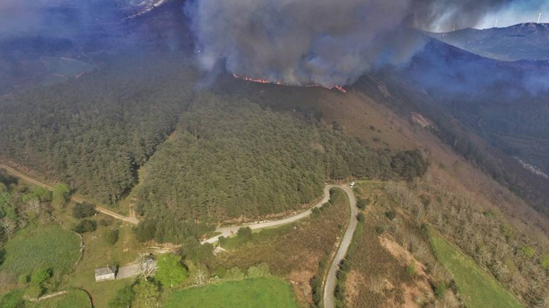 Desde la Delegación del Gobierno en Asturias y en coordinación con el Principado de Asturias y el Ministerio de Medio Ambiente se está colaborando en la lucha contra los incendios que estos días permanecen activos en nuestra región.