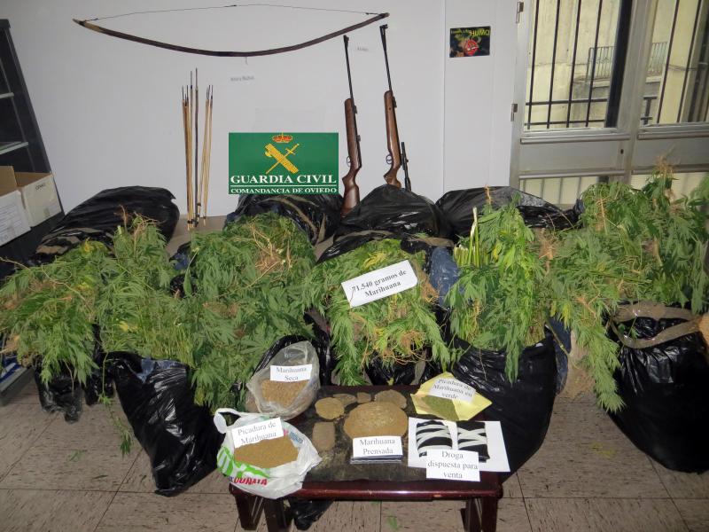 La Guardia Civil incauta más de 1.450 plantas de cannabis. 