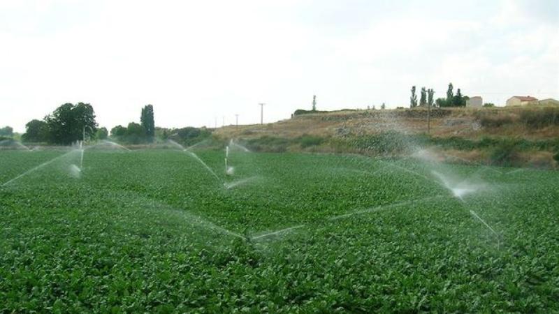 El Gobierno destina 6 millones de euros a mejorar la gestión del agua para el riego agrícola en Canarias