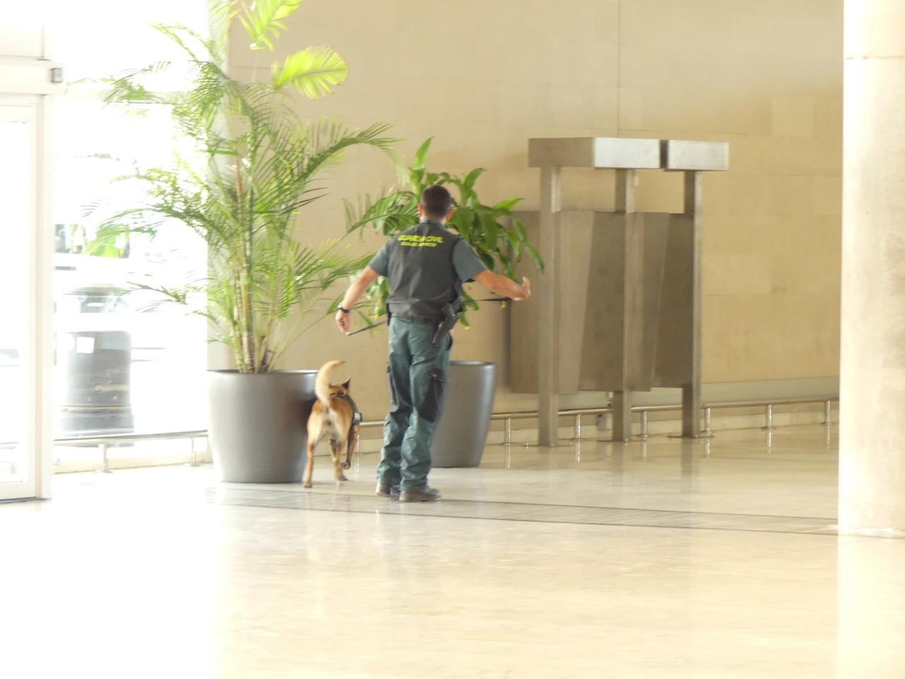 Una agente de la Guardia Civil participa en el simulacro de emergencia en el aeropuerto de Fuerteventura