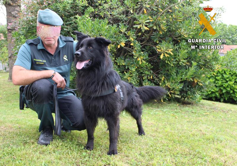 La Guardia Civil de Cantabria cuenta con un nuevo perro para su unidad canina