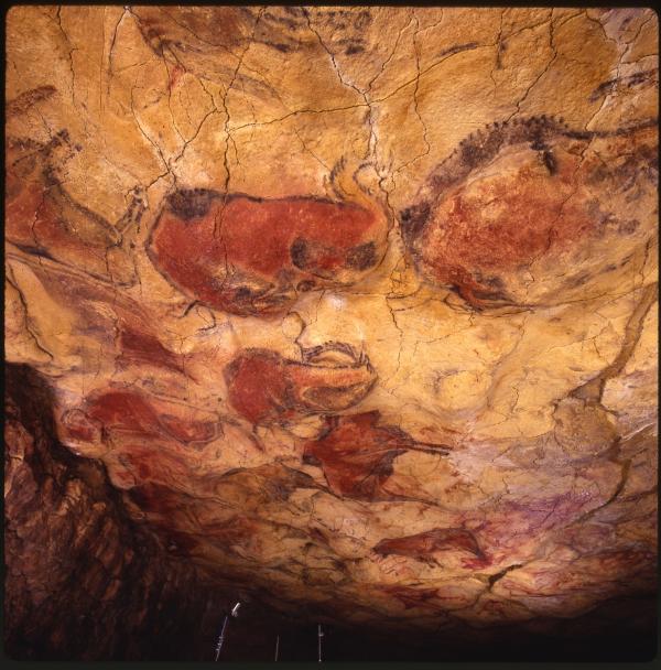 El Museo de Altamira retoma las visitas a la cueva a partir del 15 de agosto 