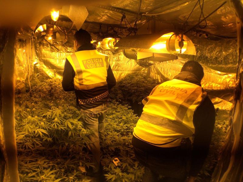 La Guardia Civil y la Policía Local desmantelan una plantación de marihuana