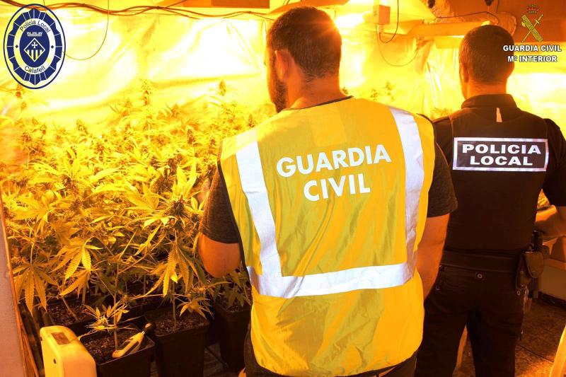 La Guardia Civil, en colaboración con la Policía Local, detiene a una persona por cultivo, elaboración y venta de marihuana