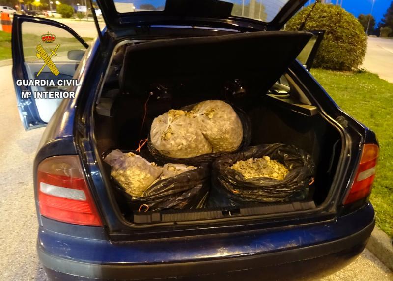La Guardia Civil incauta 25 kilos de capsulas de adormidera (Papaver somneferum) utilizada para la extracción de estupefacientes