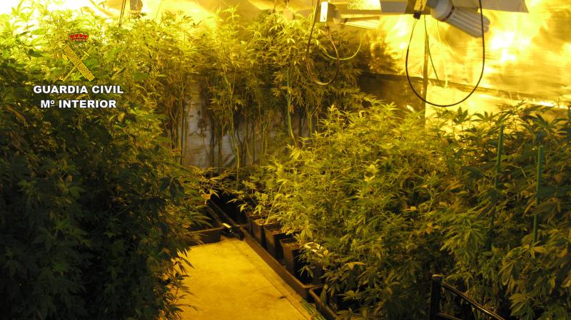 La Guardia Civil desmantela dos plantaciones ‘indoor’ de marihuana en la comarca del Maresme