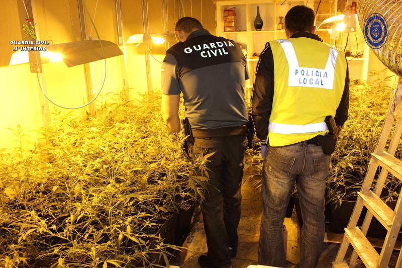 La Guardia Civil y la Policía Local desmantelan una plantación de marihuana en Segur de Calafell