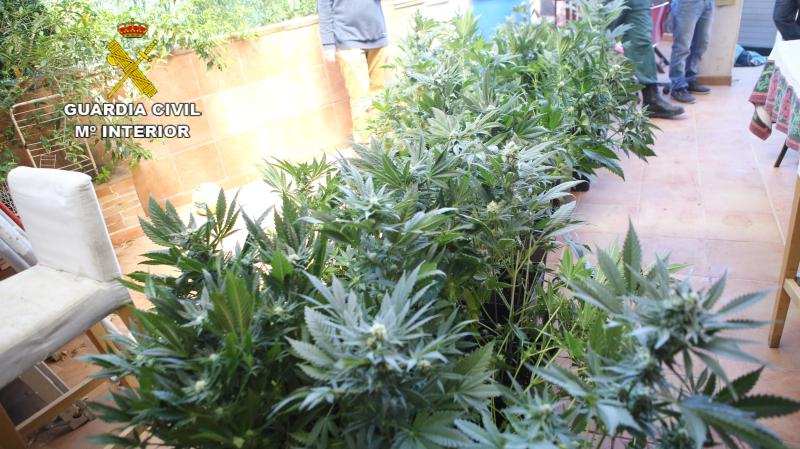 La Guardia Civil desarticula un grupo dedicado al cultivo de marihuana a gran escala en plantaciones tipo ‘indoor’