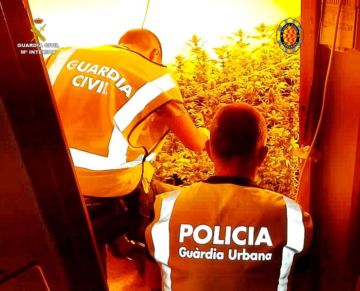 La Guardia Civil desmantela dos plantaciones de marihuana en Tarragona