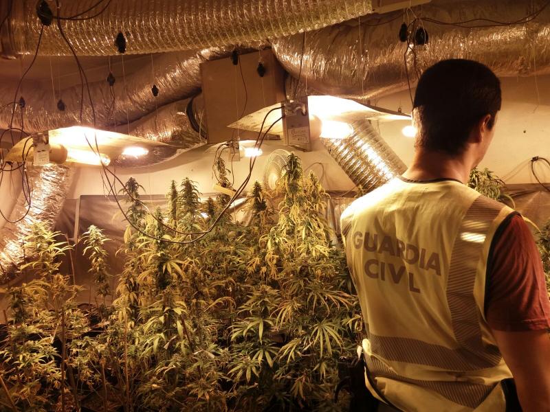La Guardia Civil desmantela en la Bisbal del Penedés una plantación de marihuana tipo 'indoor' gracias a la colaboración ciudadana