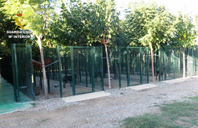 La Guardia Civil denuncia a un vecino de Riudoms por criar y vender perros de raza sin autorización