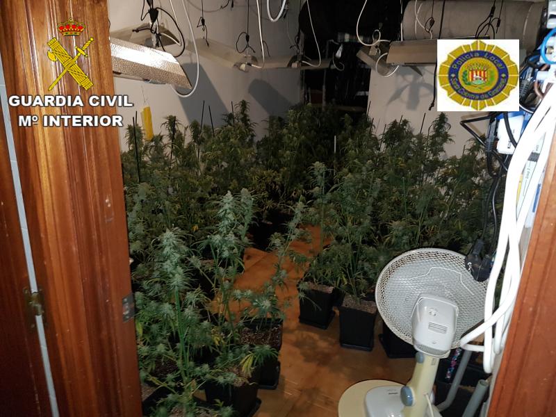 La Guardia Civil desmantela una plantación de marihuana en una vivienda de Santa Coloma de Gramanet, en una operación conjunta con la Policía Local