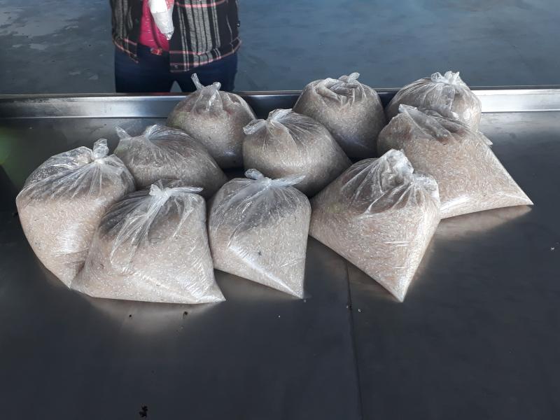 El Servicio de Inspección Pesquera de Barcelona, en colaboración con la Guardia Civil (Seprona), decomisa 41 kilos de chanquete de una embarcación no autorizada para su pesca