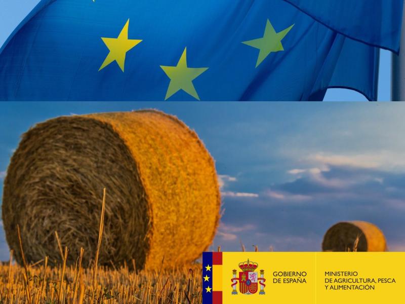 Nota informativa sobre la aplicación del Real Decreto de Alarma en el sector agrícola, ganadero y pesquero. 