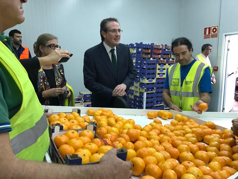El subdelegado del Gobierno en Castellón destaca el esfuerzo del sector empresarial citrícola