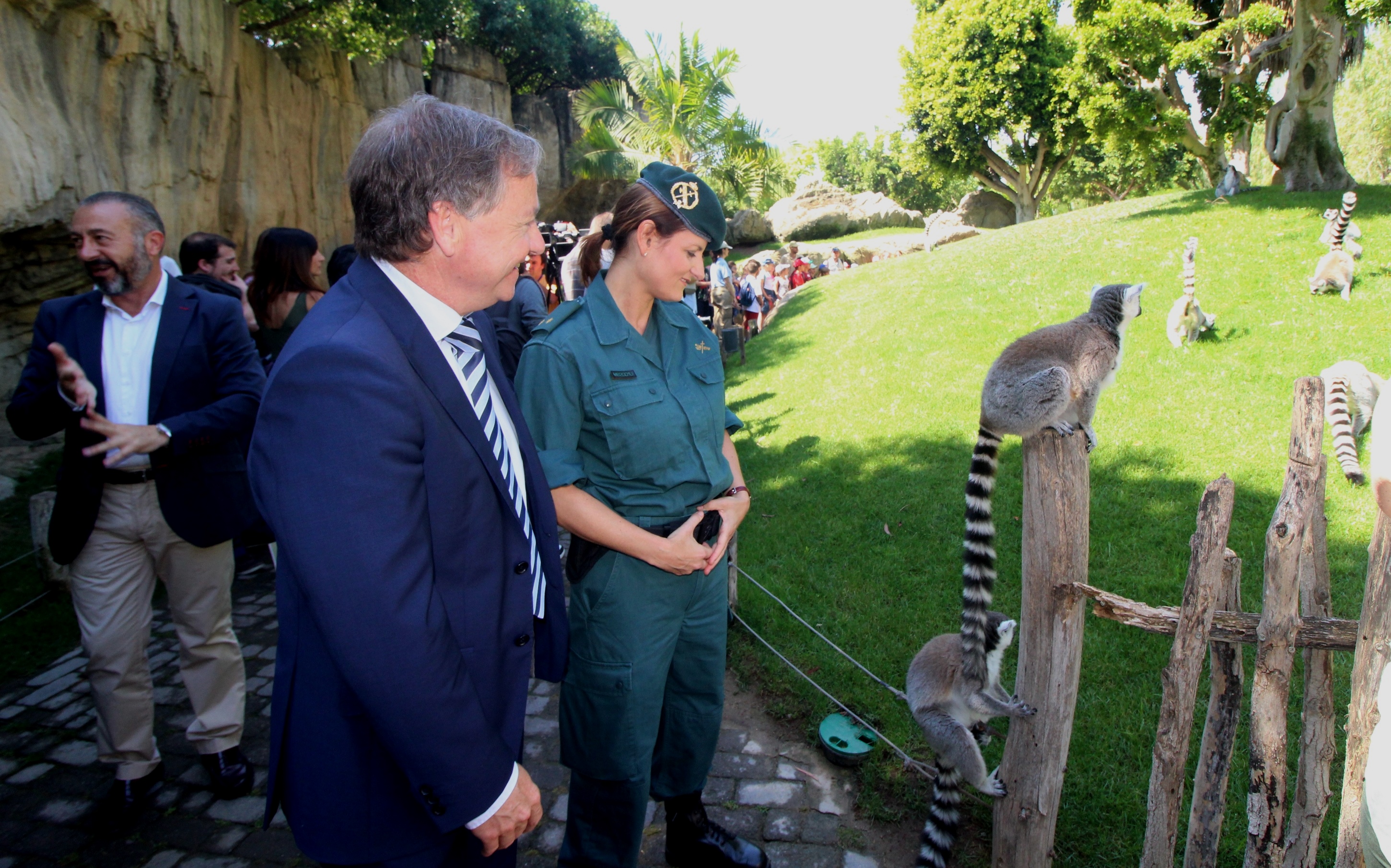 

La Guardia Civil entrega al BIOPARC un Lemur Catta, una especie en peligro de extinción, recuperado en la ciudad de Valencia
