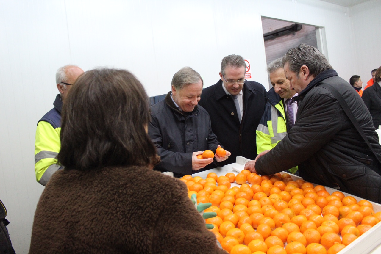 Moragues destaca el “apoyo firme” del Gobierno a los exportadores citrícolas para ampliar mercados “de gran potencial de futuro” como China, Corea o Canadá