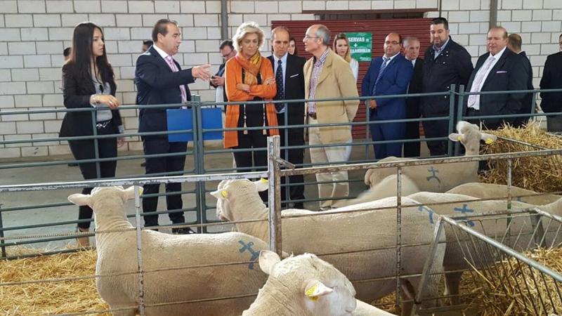 LA delegada del Gobierno en Extremadura visitó la Feria de Talarrubias