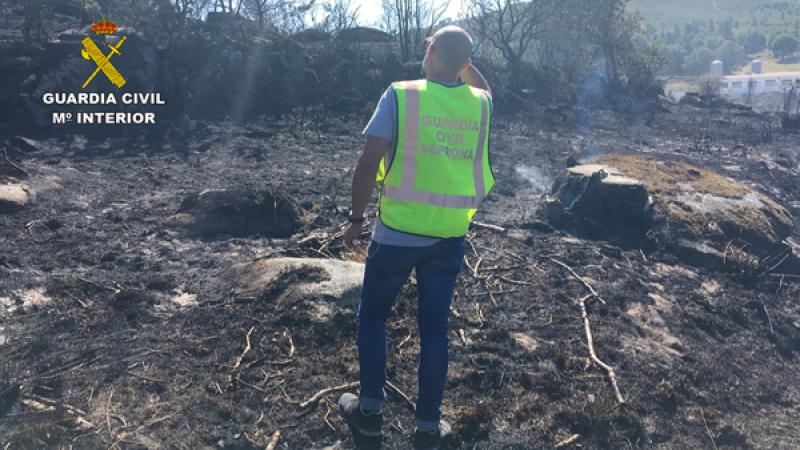 A Delegación do Goberno informa de que as forzas de Seguridade do Estado suman cerca de medio centenar de detidos e investigados por incendios forestais en Galicia este ano 