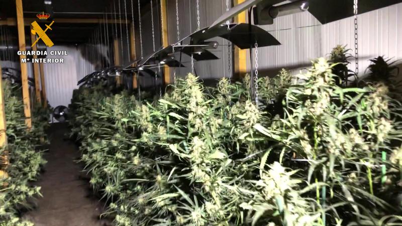 La Guardia Civil desmantela el mayor laboratorio “indoor” de marihuana hallado hasta la fecha en La Rioja. 